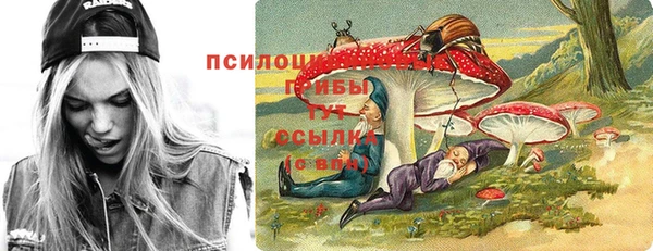 дмт Нея
