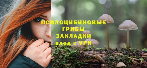 прущая мука Нефтегорск