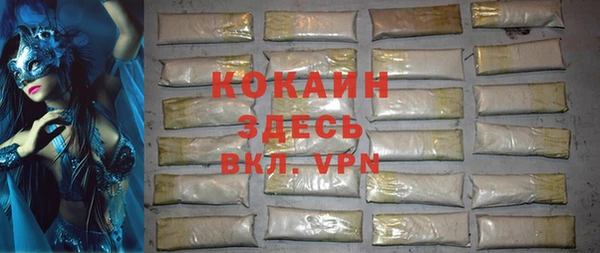 дмт Нея