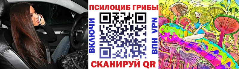 Галлюциногенные грибы Cubensis shop как зайти Котовск
