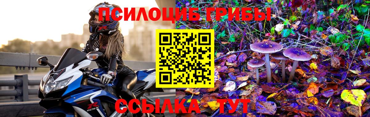 Галлюциногенные грибы мухоморы  Вход с VPN  Котовск  что такое   Псилоцибиновые грибы мицелий 