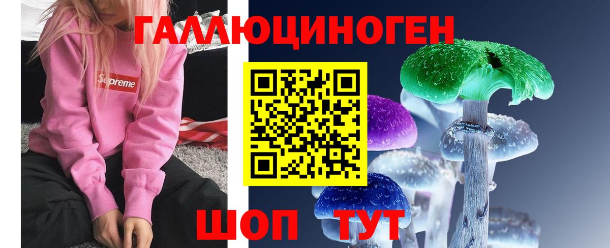 Мяу-Мяу  Вход с VPN  Котовск  Мед  Мяу-Мяу  МАРИХУАНА 